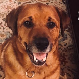 Meet your Posher, Mimi